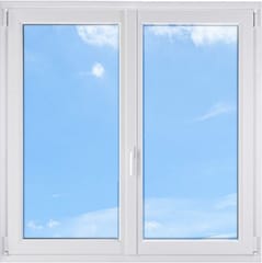 двустворчатое окно